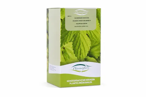 Solidage Verge d'Or Herbe