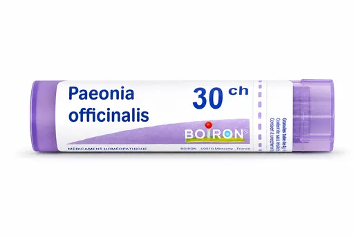 Paeonia Officinalis 30K