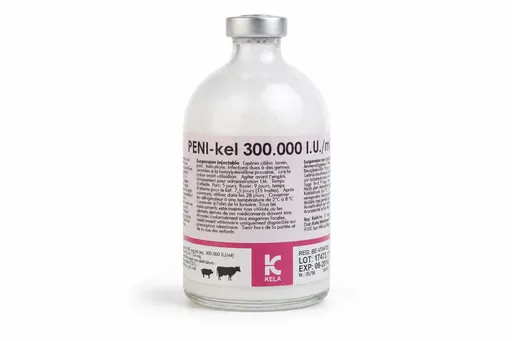 Peni-Kel 300 000 UI/ml