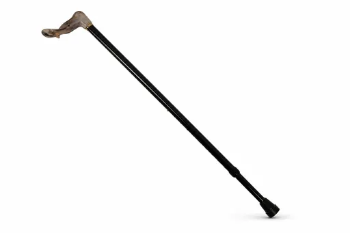 Canne de marche Poignée T Orthopédique Brune