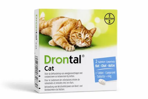 Drontal Cat