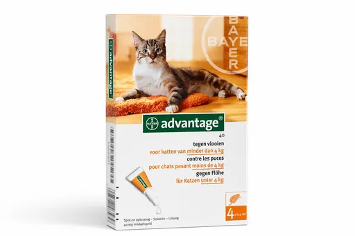 Advantage Chat 40