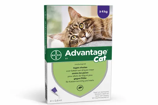 Advantage Cat 80