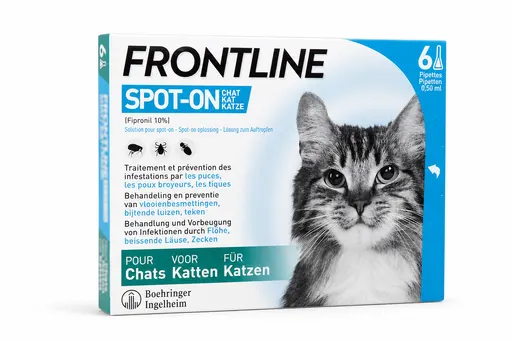 Frontline Spot-on chat