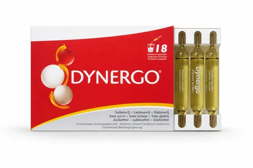Dynergo