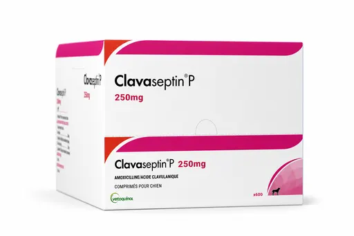 Clavaseptin 250 mg