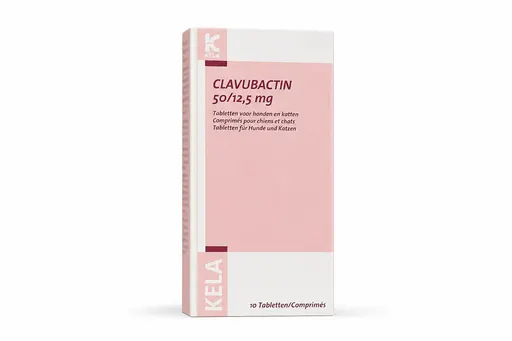 Clavubactin Kela 50/12.5 mg