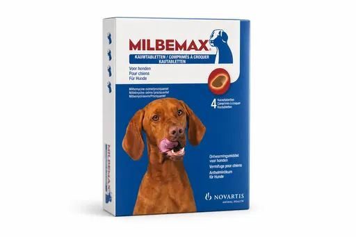 Milbemax chien