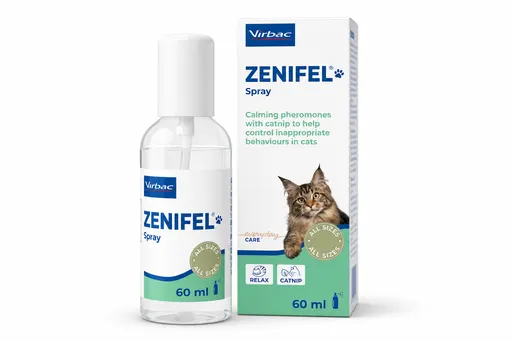 Zenifel Spray Chat