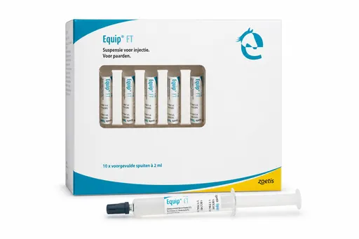 Equip FT