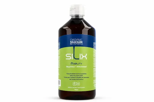 Silix Mobility