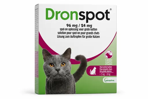 Dronspot 96/24