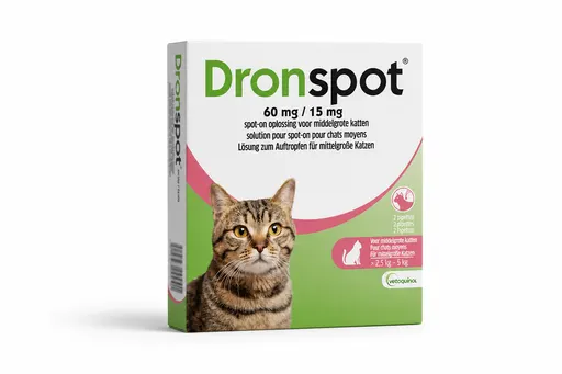 Dronspot Chat Moyen