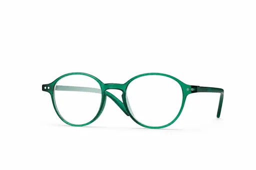 Fisavision Lunettes de lecture Full Color Green