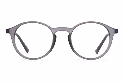 Fisavision Lunettes de Lecture Gray