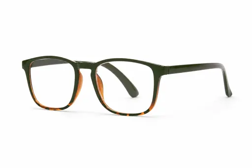 Fisavision Lunettes de lecture