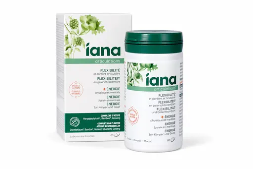 Iana Articulations Flexibilité & Énergie