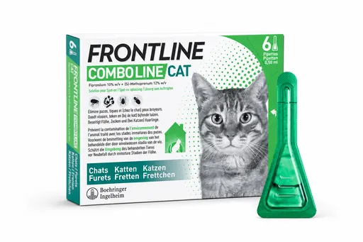 Frontline Combo Line Cat