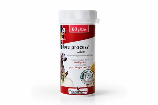 Flore Process Chien & Chat